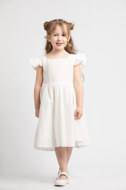 embrodired voile dress