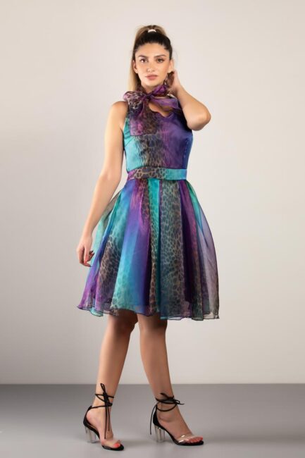 organza printed dress