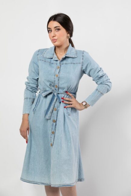 Tencel Long Sleeve Dress