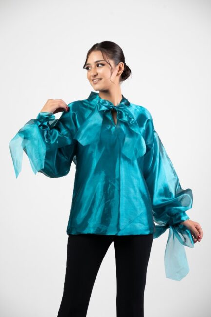Organza Blouse Long Sleeve