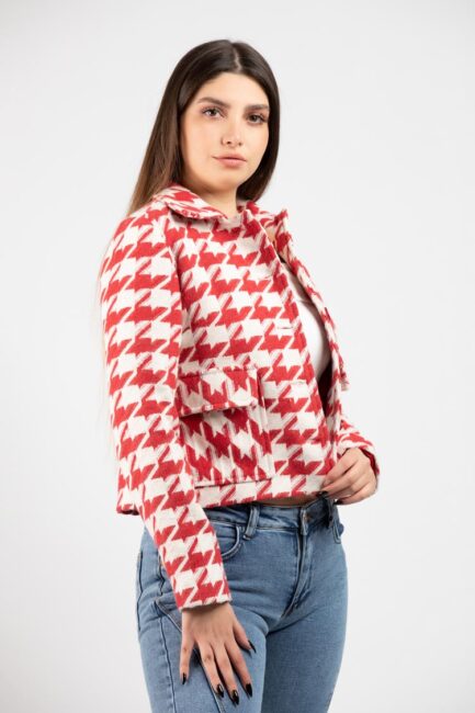 Crop Houndstooth Jacket