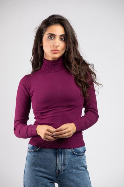 turtle neck basic sweater